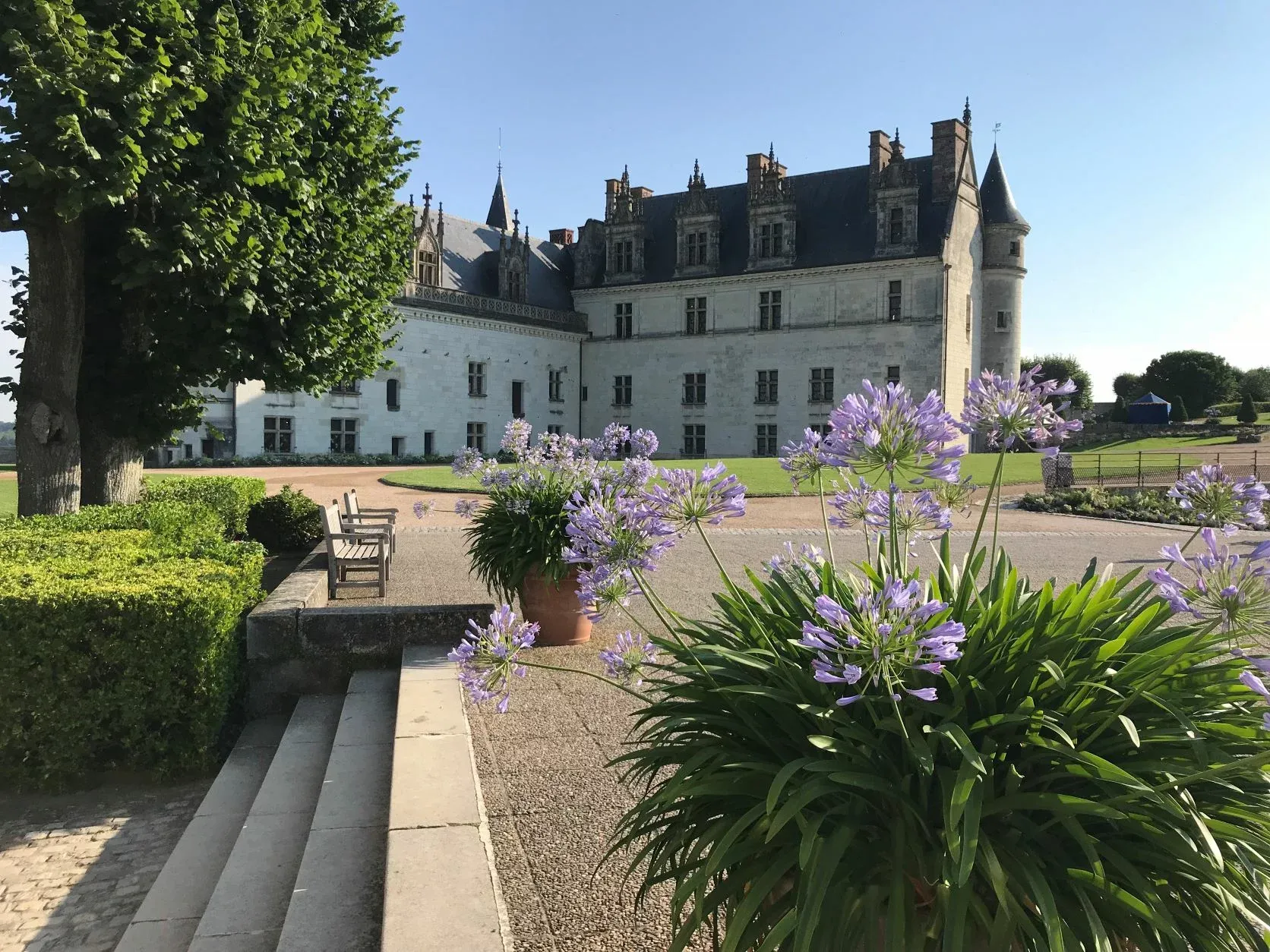 Le logis royal d'Amboise vu depuis les jardins — © FSL.